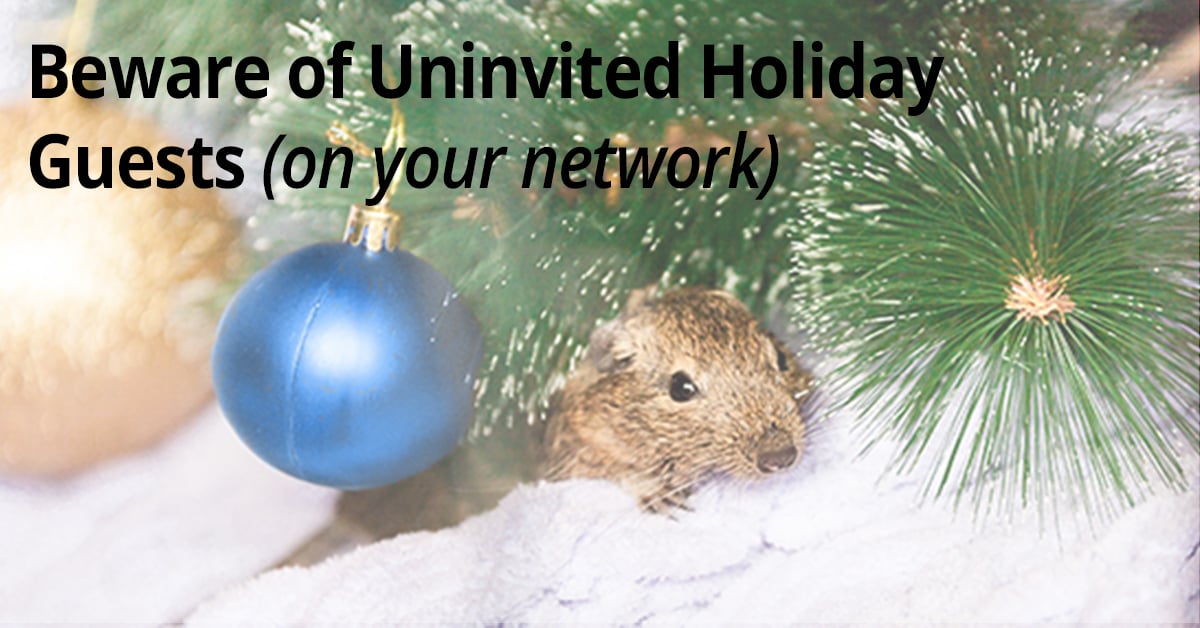 Beware of Uninvited Guests on Your Network