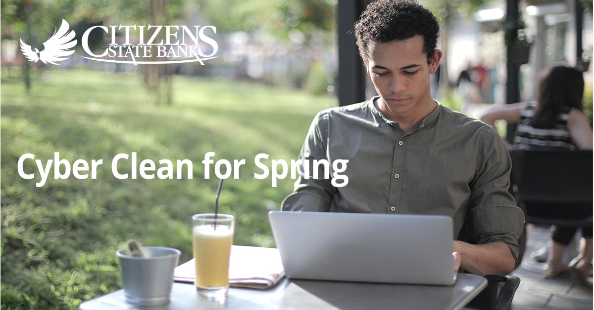 Cyber Clean for Spring