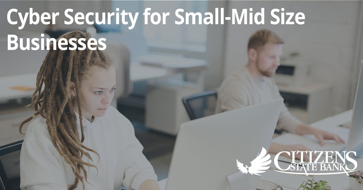 Cyber Security for Small-Mid Size Businesses